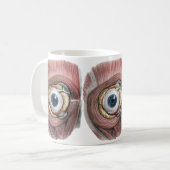  menselijke anatomie, Eyeball Eye met spieren Koffiemok (Voorkant links)