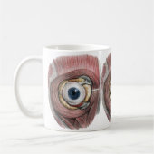  menselijke anatomie, Eyeball Eye met spieren Koffiemok (Links)