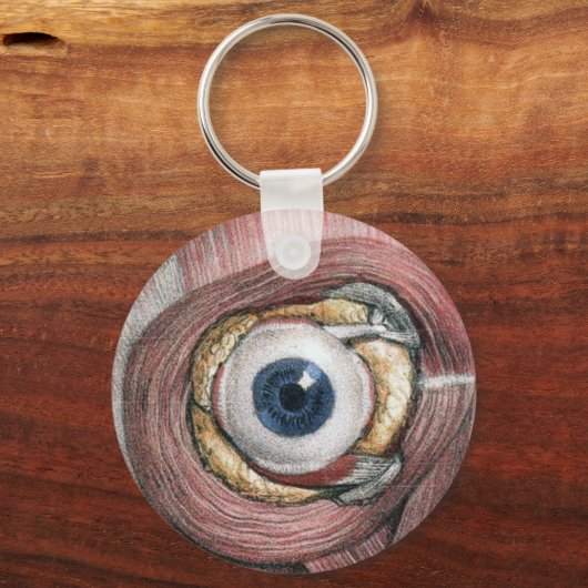  menselijke anatomie, Eyeball Eye met spieren Sleutelhanger (Achterkant)