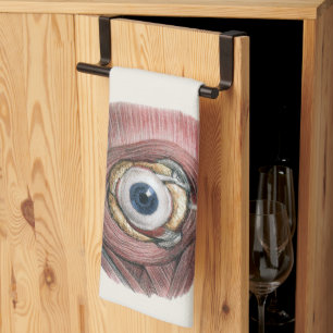 menselijke anatomie, Eyeball Eye met spieren Theedoek