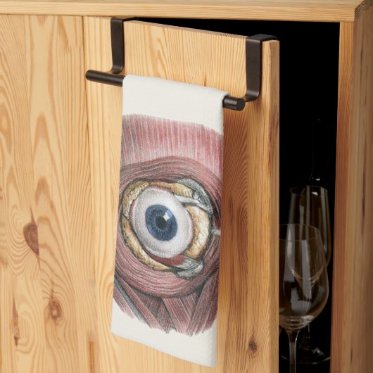 menselijke anatomie, Eyeball Eye met spieren Theedoek (Derde Gevouwen)