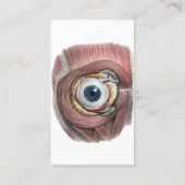 menselijke anatomie, Eyeball Eye met spieren Visitekaartje (Achterkant)