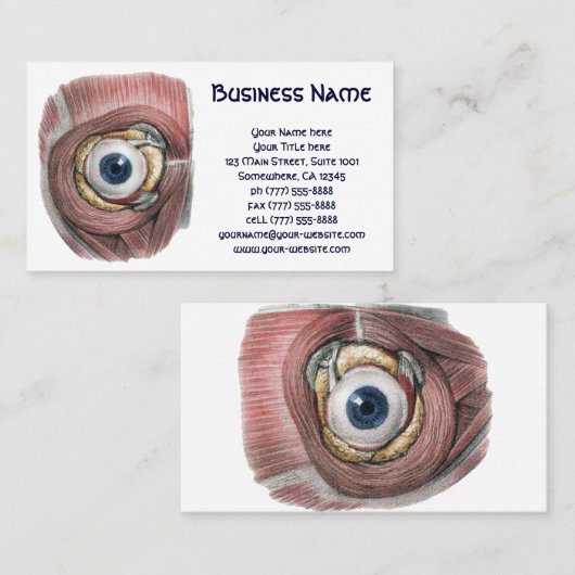  menselijke anatomie, Eyeball Eye met spieren Visitekaartje (Voorkant / Achterkant)