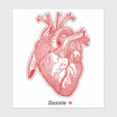  Menselijke Anatomie Hart Sticker (Vel)