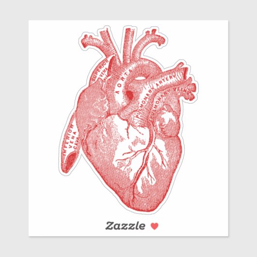  Menselijke Anatomie Hart Sticker (Vel)