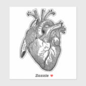  Menselijke Anatomie Hart Sticker (Vel)