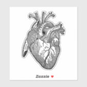 Menselijke Anatomie Hart Zwart Sticker (Vel)