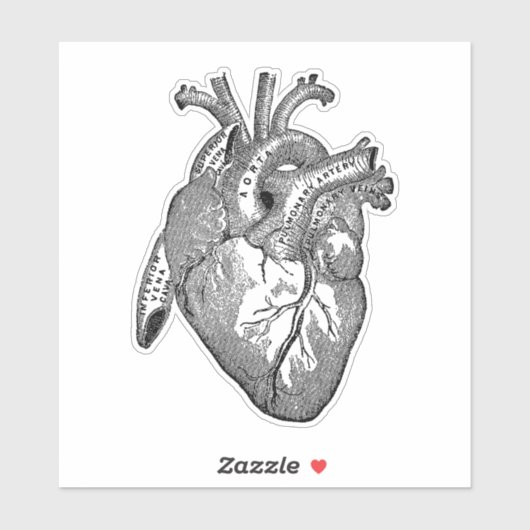  Menselijke Anatomie Hart Zwart Sticker (Vel)