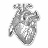  Menselijke Anatomie Hart Zwart Sticker (Voorkant)
