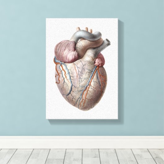 menselijke anatomie Hartorganen Gezonde Canvas Afdruk (Insitu (Houten vloer))