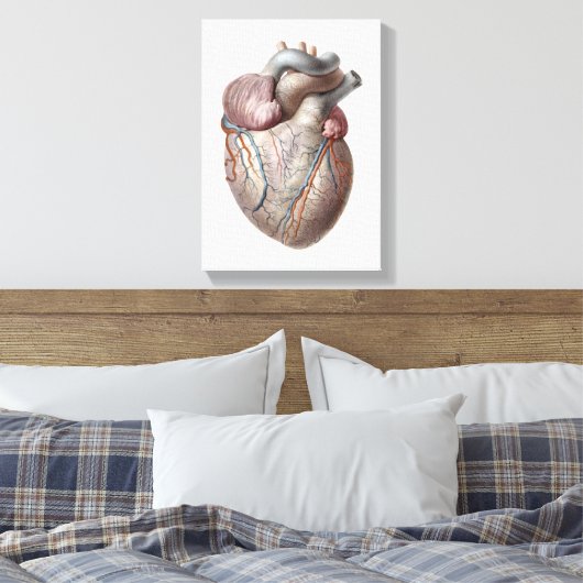 menselijke anatomie Hartorganen Gezonde Canvas Afdruk (Insitu (Slaapkamer))