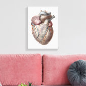 menselijke anatomie Hartorganen Gezonde Canvas Afdruk (Insitu (Woonkamer))
