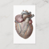 menselijke anatomie Hartorganen Gezonde Visitekaartje (Achterkant)