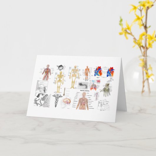 Menselijke Anatomie Kaarten (Gele Bloem)