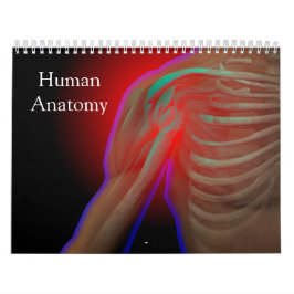 Menselijke anatomie kalender