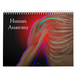 Menselijke anatomie kalender