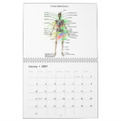 Menselijke anatomie kalender (Jan 2027)