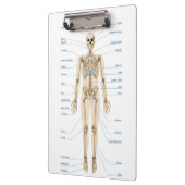 Menselijke anatomie klembord (Links)