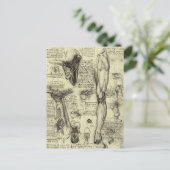  menselijke anatomie Larynx been Leonardo da Vinci Briefkaart (Staand voorkant)