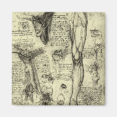  menselijke anatomie Larynx been Leonardo da Vinci Magneet (Voorkant)