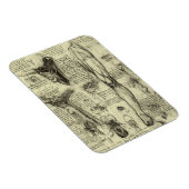  menselijke anatomie Larynx been Leonardo da Vinci Magneet (Rechterzijde)