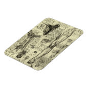  menselijke anatomie Larynx been Leonardo da Vinci Magneet (Linkerzijde)