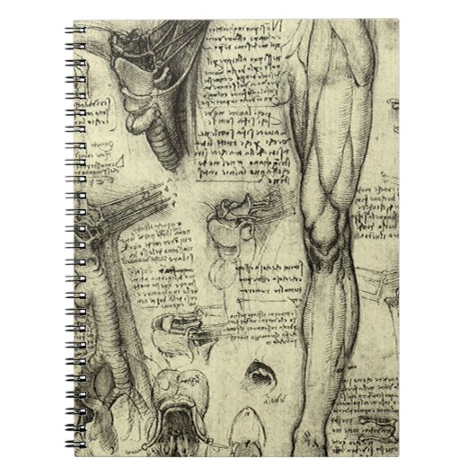 menselijke anatomie Larynx been Leonardo da Vinci Notitieboek (Voorkant)