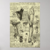 menselijke anatomie Larynx been Leonardo da Vinci Poster (Voorkant)