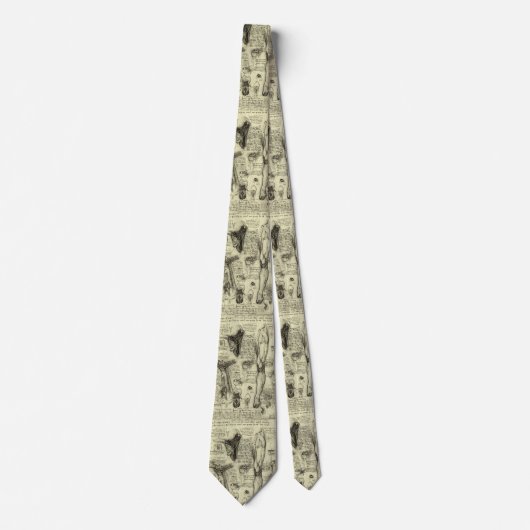 menselijke anatomie Larynx been Leonardo da Vinci Stropdas (Voorkant)