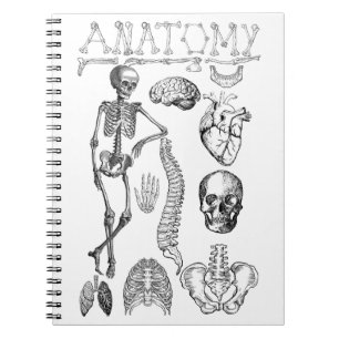 Menselijke anatomie leerboek voor notities notitieboek