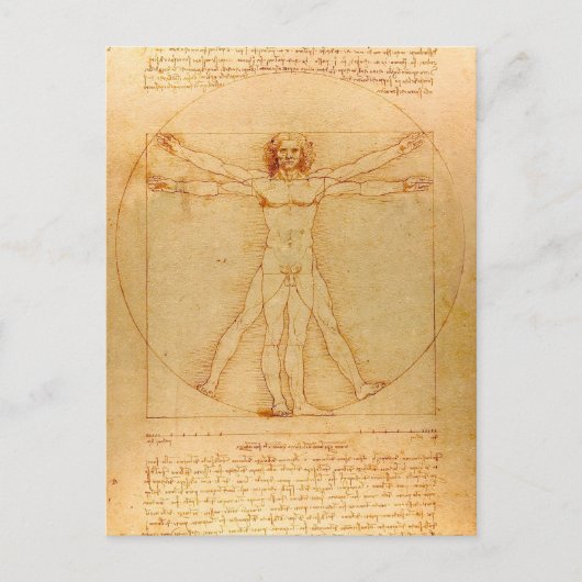 Menselijke Anatomie, Man Vitruvian door Leonardo Briefkaart (Voorkant)