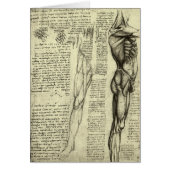 Menselijke anatomie Mannelijke spieren door Leonar (Voorkant)