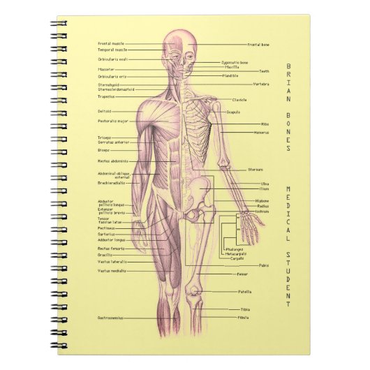 Menselijke anatomie Medische Diagram Gepersonalise Notitieboek (Voorkant)