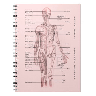 Menselijke anatomie Medische Diagram Gepersonalise Notitieboek
