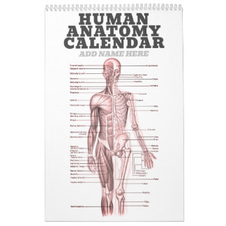 Menselijke anatomie Medische Diagram Novelty Scien Kalender