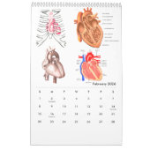 Menselijke anatomie Medische Diagram Novelty Scien Kalender (Feb 2026)