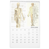 Menselijke anatomie Medische Diagram Novelty Scien Kalender (Jan 2026)