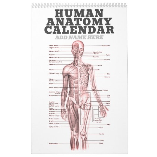 Menselijke anatomie Medische Diagram Novelty Scien Kalender (Hoes)