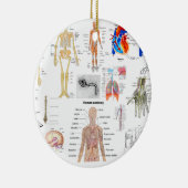 Menselijke anatomie Medische diagrammen, volledig  Keramisch Ornament (Rechts)