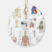 Menselijke anatomie Medische diagrammen, volledig  Keramisch Ornament (Links)