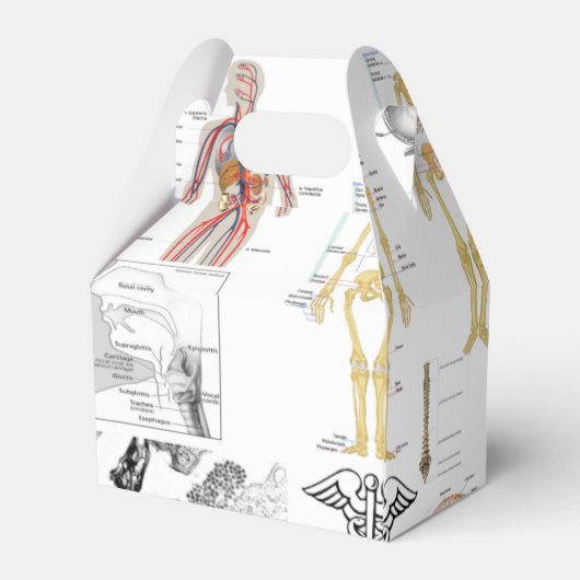 Menselijke anatomie medische kaarten bedankdoosjes (Achterkant)
