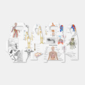Menselijke anatomie medische kaarten bedankdoosjes (Uitgevouwen)