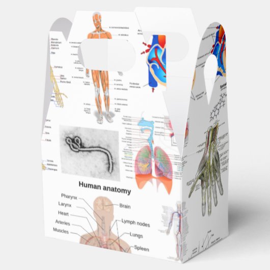 Menselijke anatomie medische kaarten bedankdoosjes (Geopend)