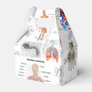 Menselijke anatomie medische kaarten bedankdoosjes