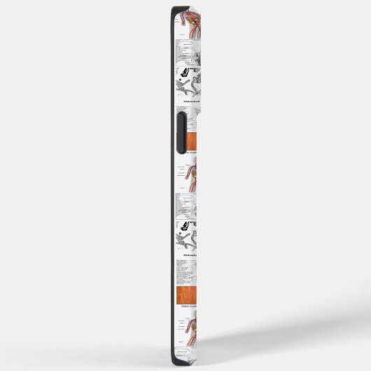 Menselijke anatomie medische kaarten Case-Mate iPhone case (Achterkant / Rechts)