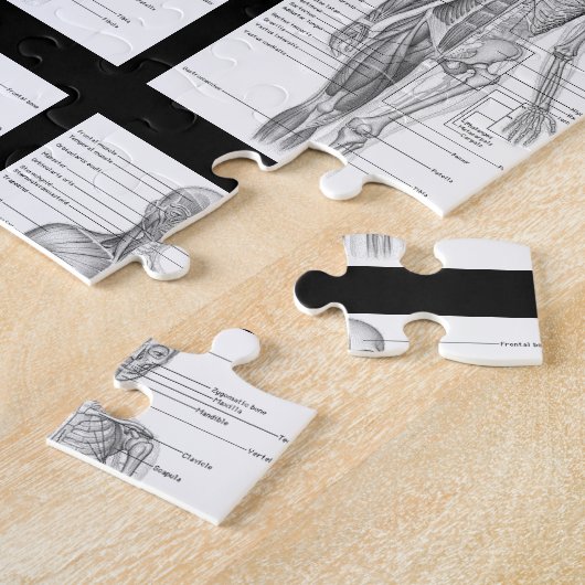 Menselijke anatomie medische kaarten legpuzzel (Zijkant)