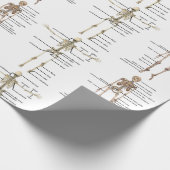 Menselijke anatomie Menselijk skelet medisch diagr Cadeaupapier (Hoek)