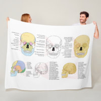 Menselijke Anatomie Menselijke Schedel geïllustree