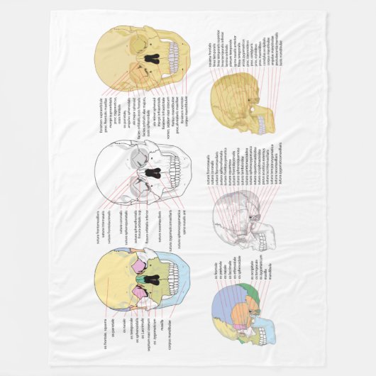 Menselijke Anatomie Menselijke Schedel geïllustree Fleece Deken (Voorkant)