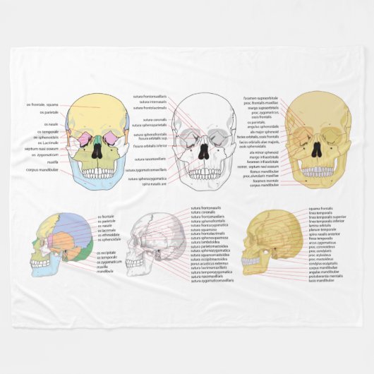 Menselijke Anatomie Menselijke Schedel geïllustree Fleece Deken (Voorkant (Horizontaal))
